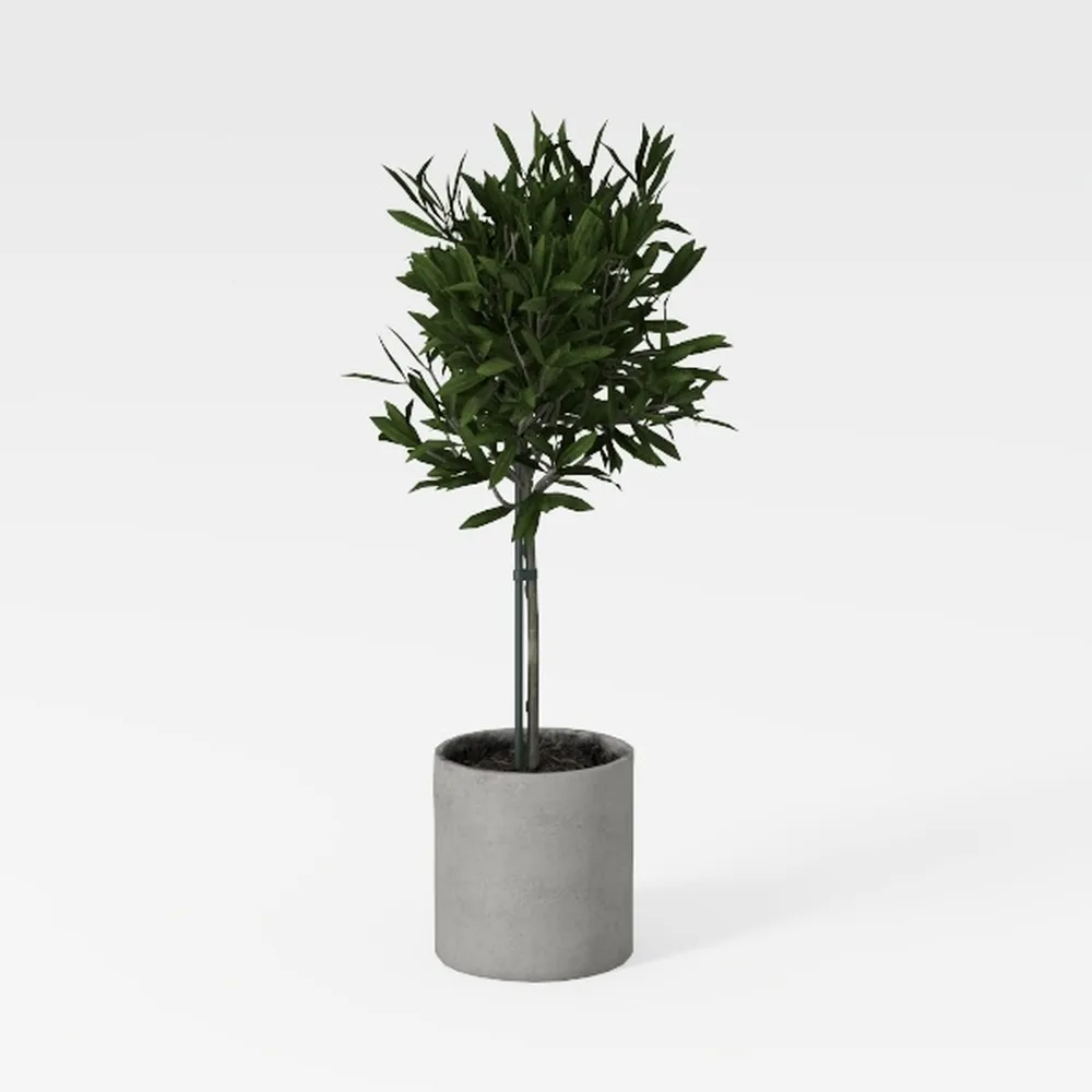 Artificial Palm Plant Indoor 5FT Fake Tree with