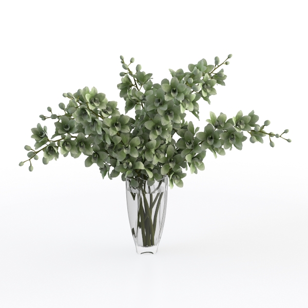 Flower Green plant X-1