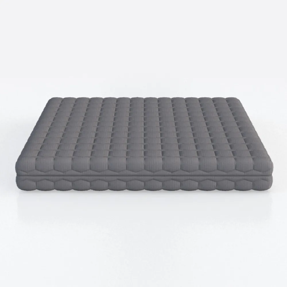 Trule 6 in. Bonnell Coil Futon Mattress, Polyester