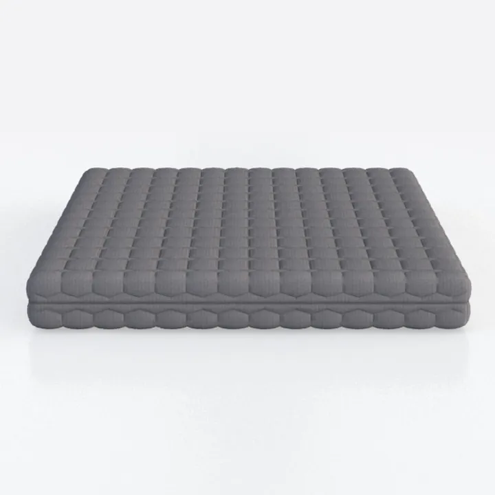 Trule 6 in. Bonnell Coil Futon Mattress, Polyester