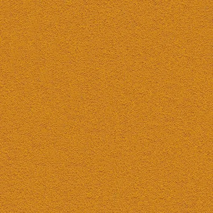 Wall-to-wall Carpet 20