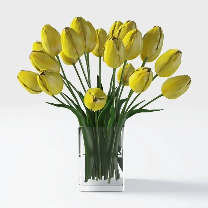 Costa Farms Snake Plant Live Plant | 3-4 Feet Tall