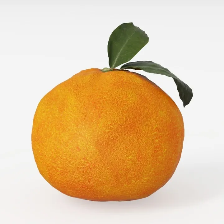 orange-Fruit