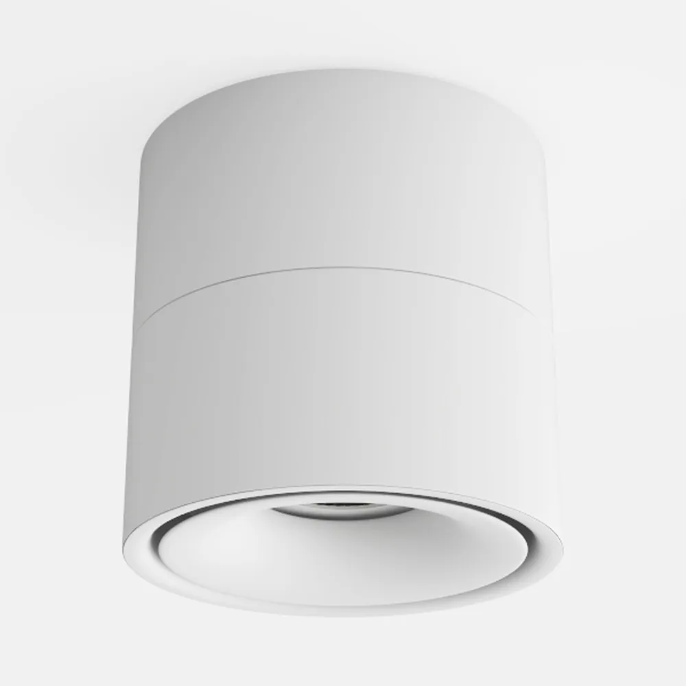 Aisilan LED White Adjustable 360° Pivoting Ceiling
