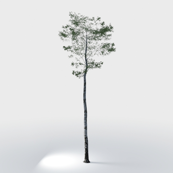 Phimos Artificial Olive Tree Tall Fake Potted