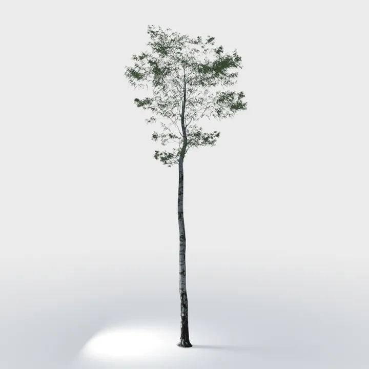 Phimos Artificial Olive Tree Tall Fake Potted