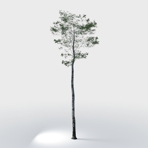 Phimos Artificial Olive Tree Tall Fake Potted