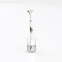 null Left 45 Degree View