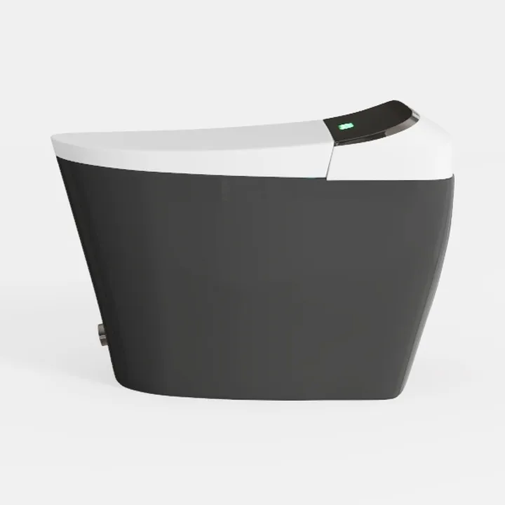Smart Toilet,Tankless Toilets Dynamic Clean with