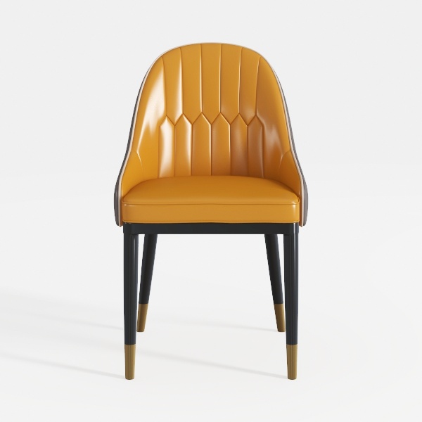 Dining Room Furniture Modern Dining Chairs Set of