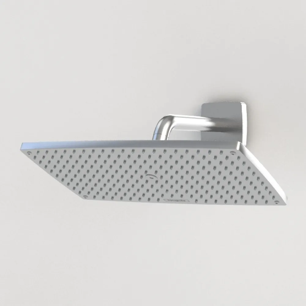 NearMoon Rain Shower Head, High Flow Stainless