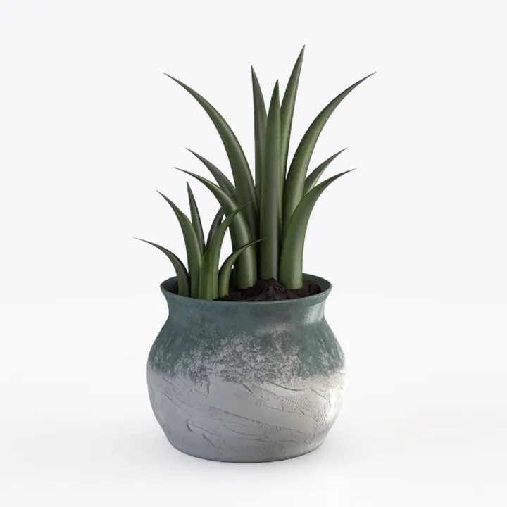 Minimalist Ceramic Potted Succulent Plant 3D Model