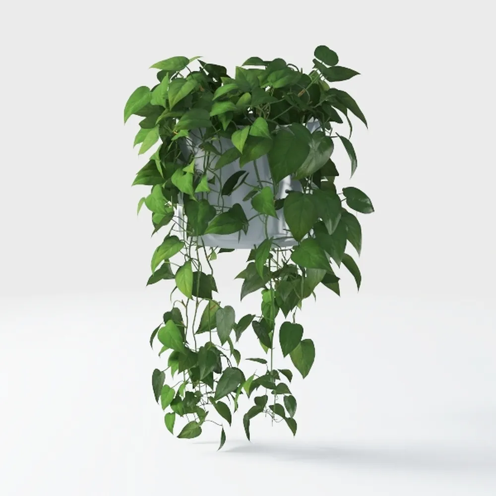 Faux Dracaena Tree 6.5ft(78in) Artificial Floor