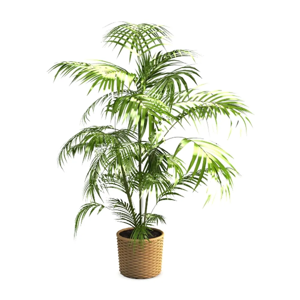 5ft Golden Cane Palm Tree Artificial - Fake Palm