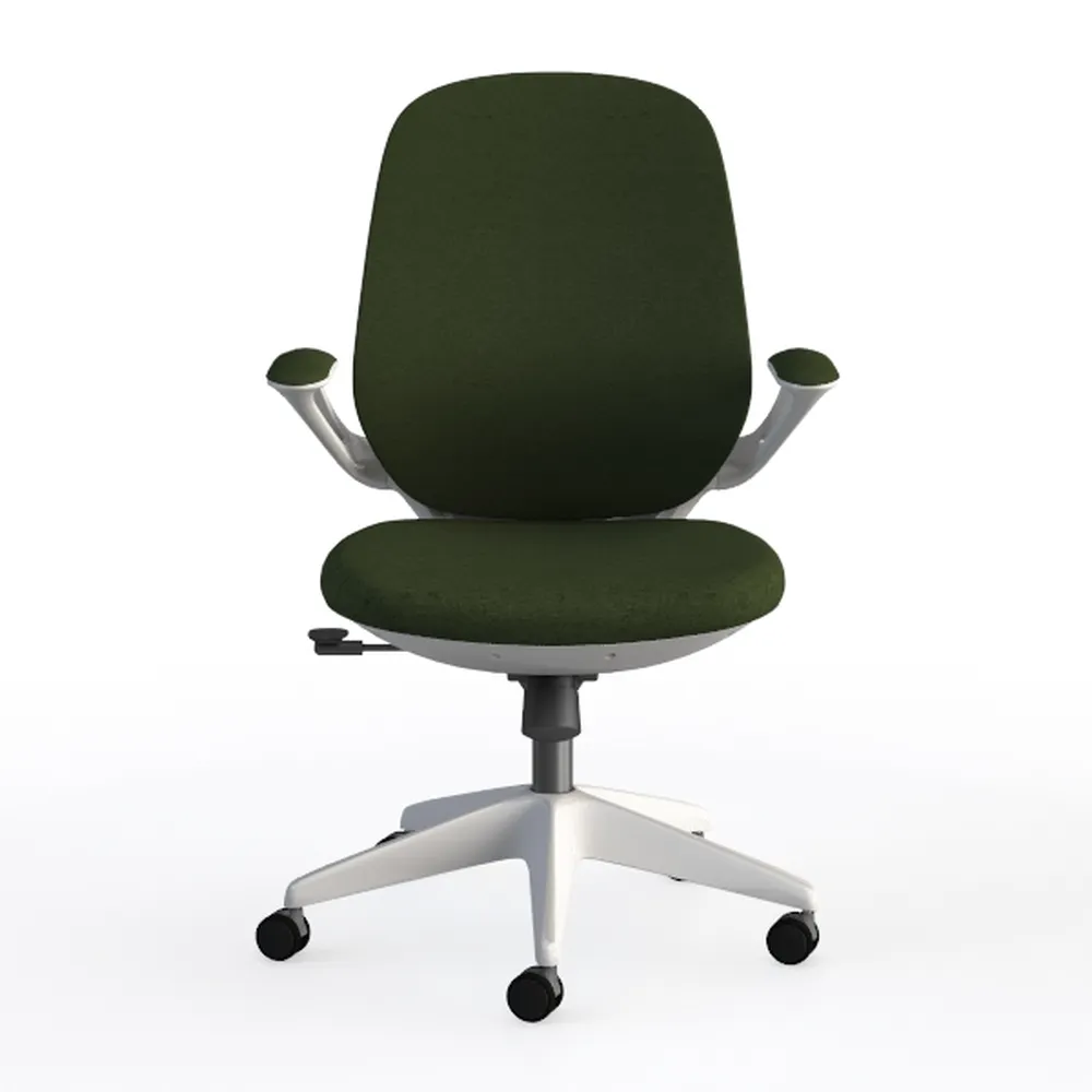 Ergonomic Office Chair, Breathable Mesh Back, with