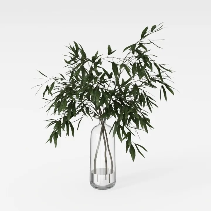 Minimalist Clear Glass Tabletop Decorative Plant Vase 3D Model