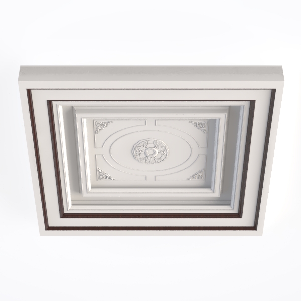 Irregular shaped ceiling-24