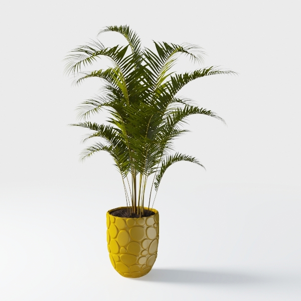 Artificial Palm Tree Indoor 5ft with White Pot