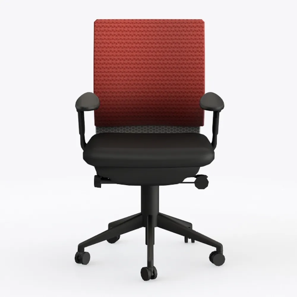 Schwake Ergonomic Office Chair Home Mesh Desk Chai