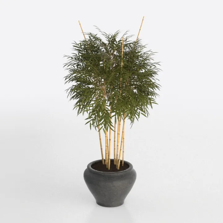 Minimalist Concrete Potted Bamboo Plant 3D Model