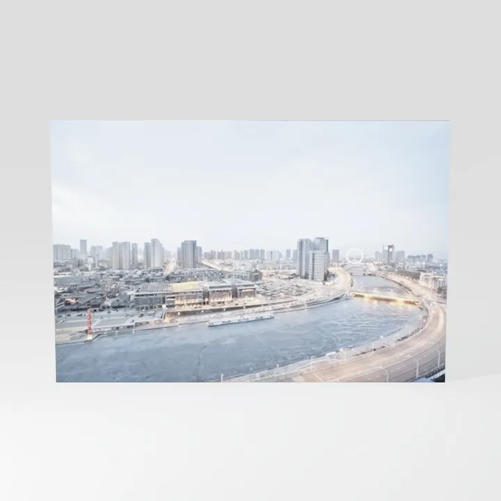 Flowers Canvas Wall Art White Paintings Grey Gold 