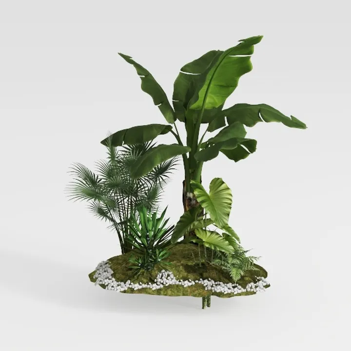 Monstera Swiss Cheese Plant Hanging Basket - 3