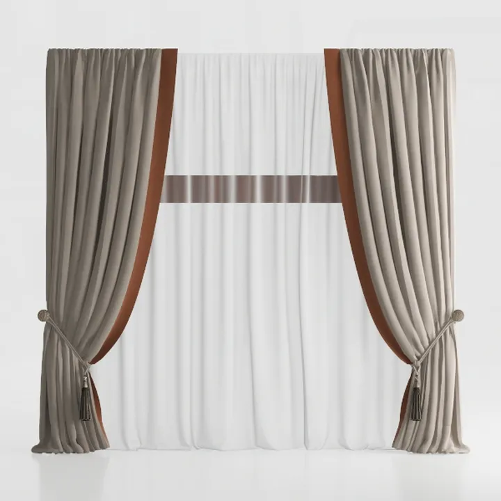 Modern Velvet Fabric Two Tone Curtain Set With Tassel Details 3D Model