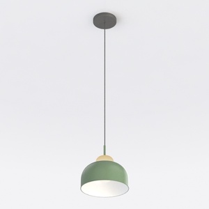 ceiling lamp-Woodland Designs 