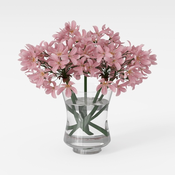 flower-Fluttering Blooms