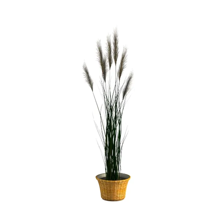 Rattan Woven Pot Potted Reed Grass Decorative Plant 3D Model