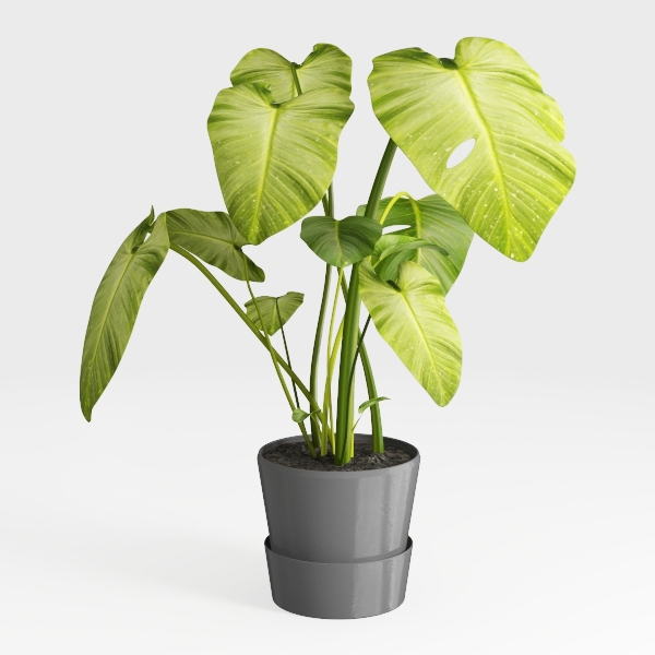 Mkono Fake Plants in Ceramic Pot, 11&quot; Potted