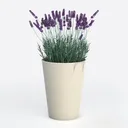Minimalist Metal Potted Lavender Decorative Plant 3D Model Left 45 Degree View