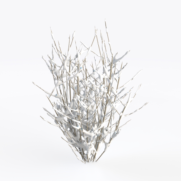 bushes with snow-Landscape Greenery