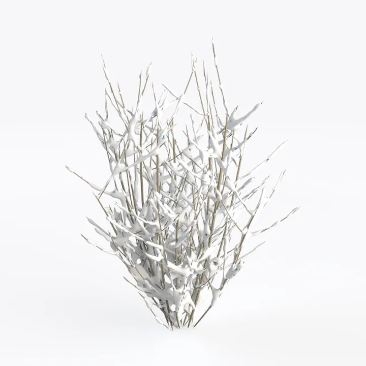 bushes with snow-Landscape Greenery
