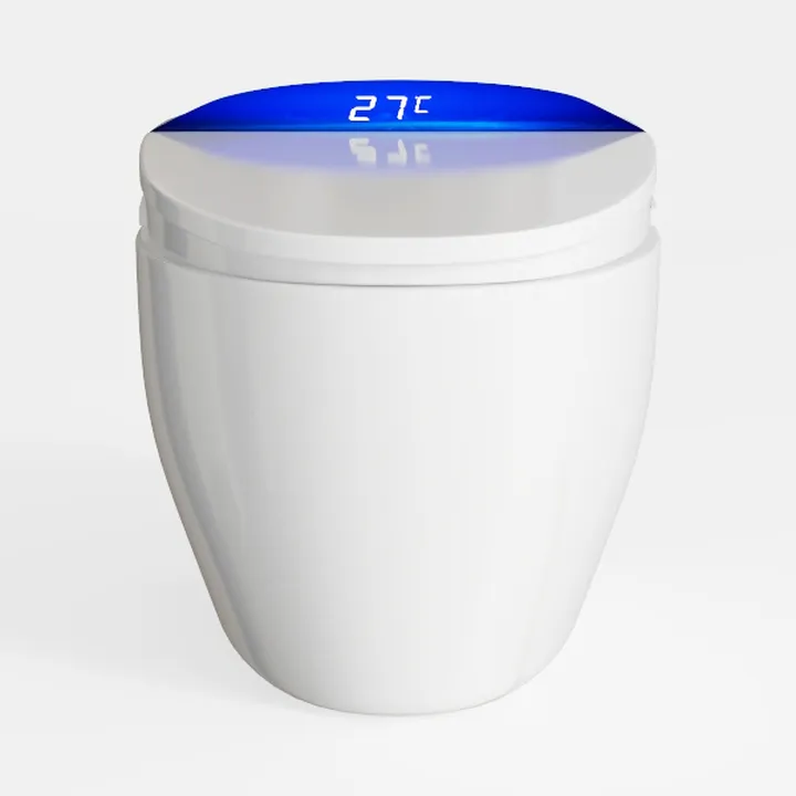 Smart Toilet, One Piece Bidet Toilet for Bathrooms