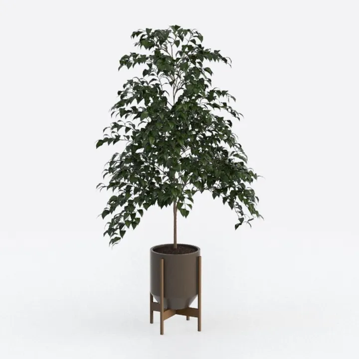 Dracaena Silk Plant Corn Stalk 6ft Tall Faux Plant