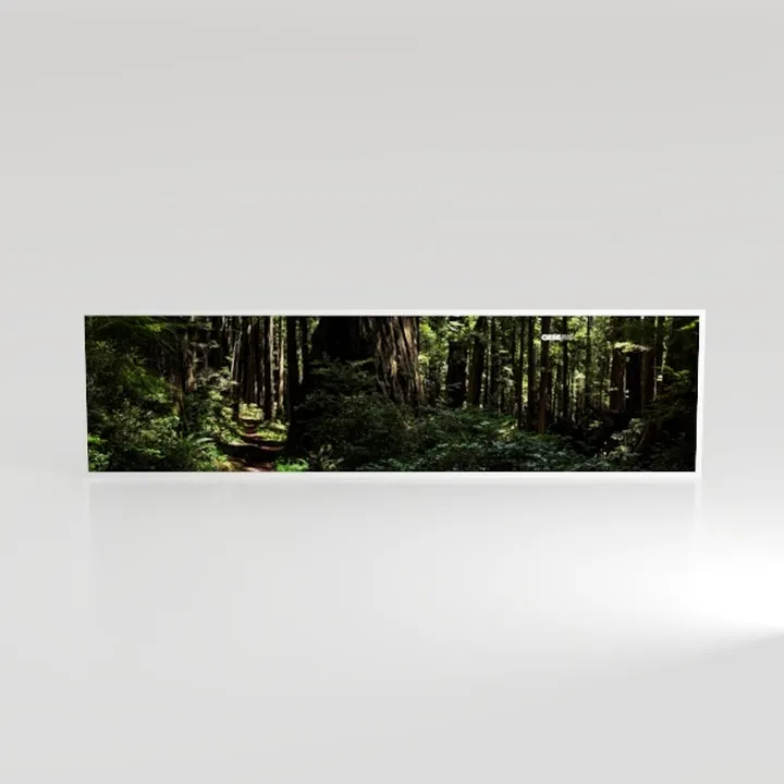 Lapremoly Large Size Canvas Wall Art For Living