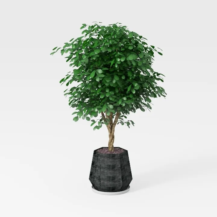 plant-Workspace
