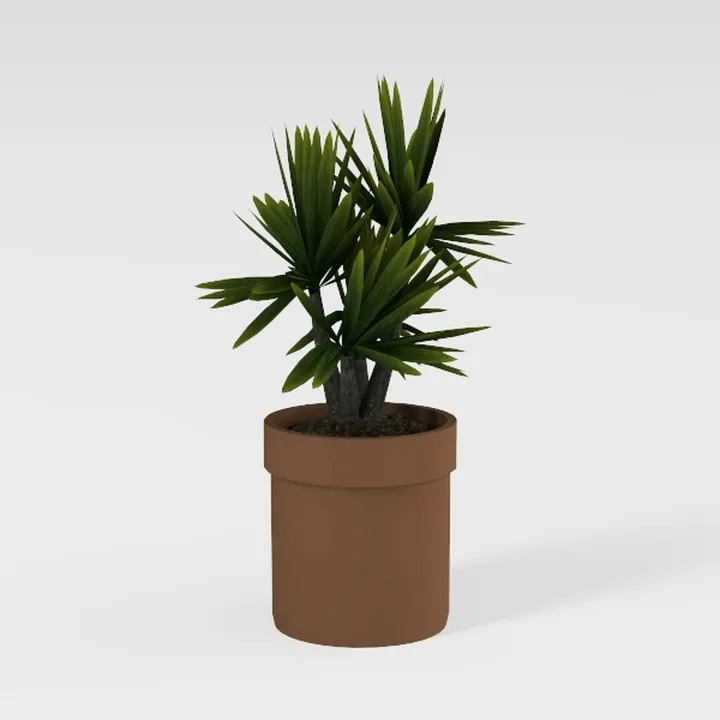 D'vine Dev Terracotta Pots for Plants, 4.2 Inch 5