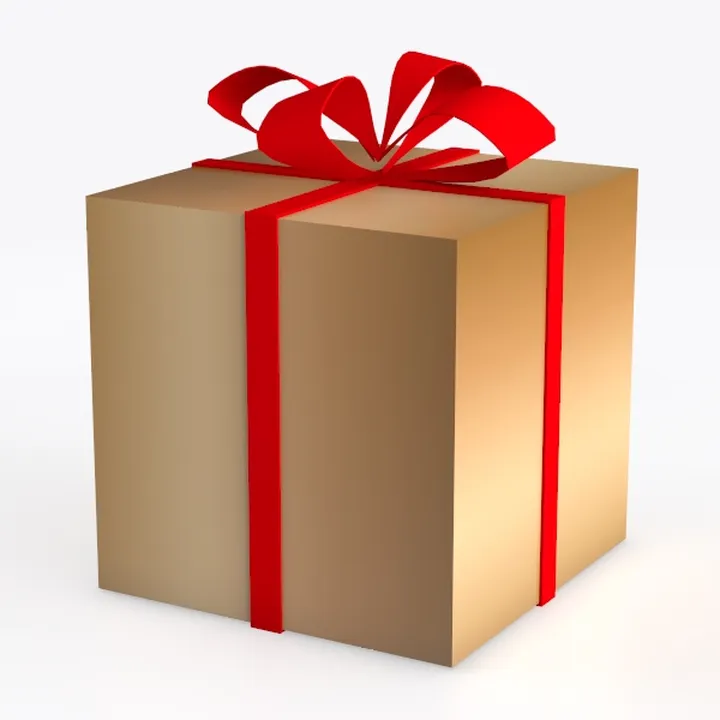 Christmas Decor (44)