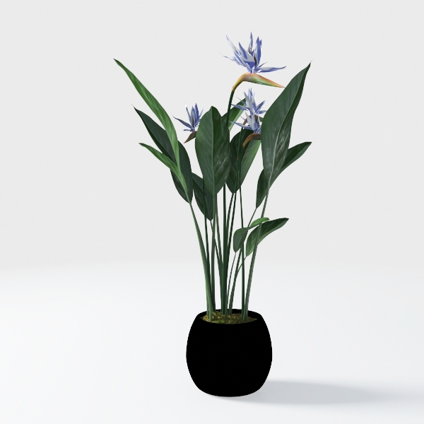 GarveeHome Bird of Paradise Artificial Bird of