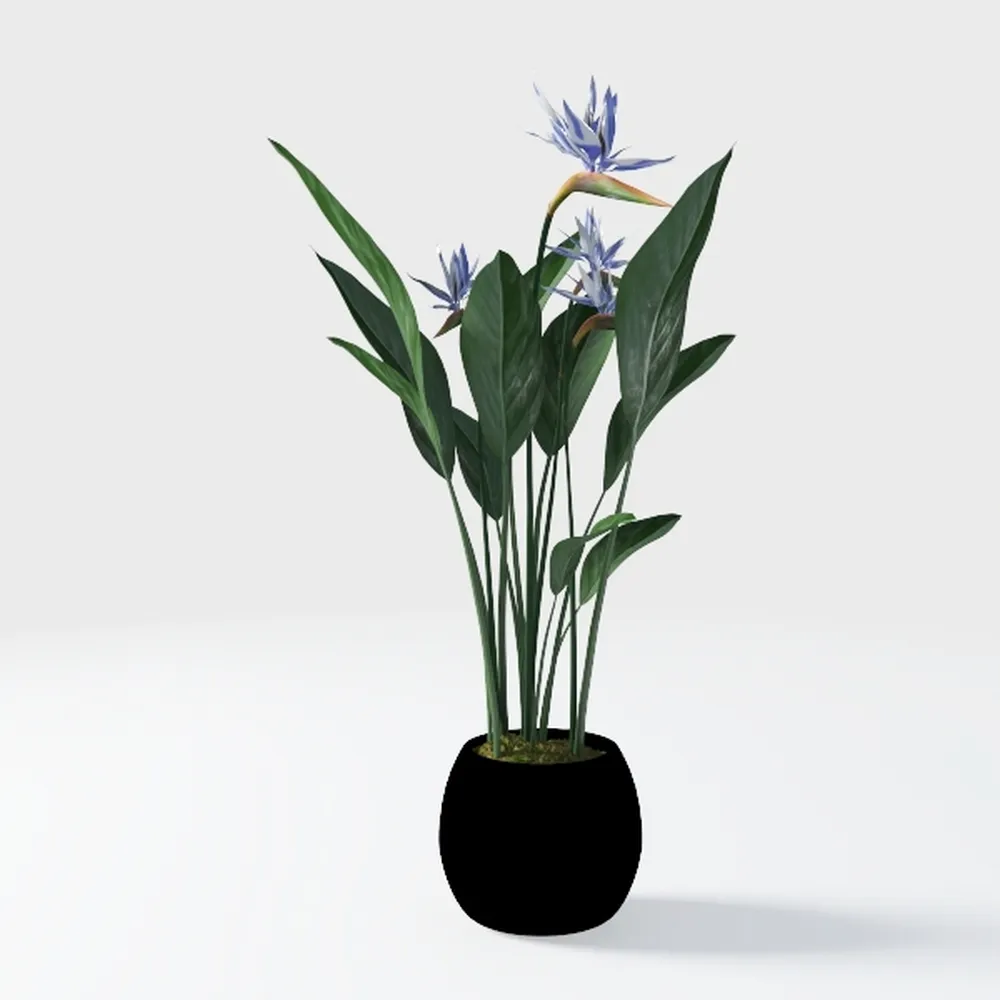 GarveeHome Bird of Paradise Artificial Bird of