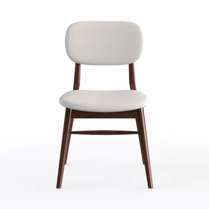 Wood Dining Chairs Set of 2, Cat Scratching