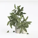 null Left 45 Degree View