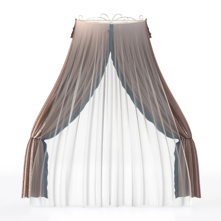 Modern Luxury Fabric Canopy Bed Curtain 3D Model