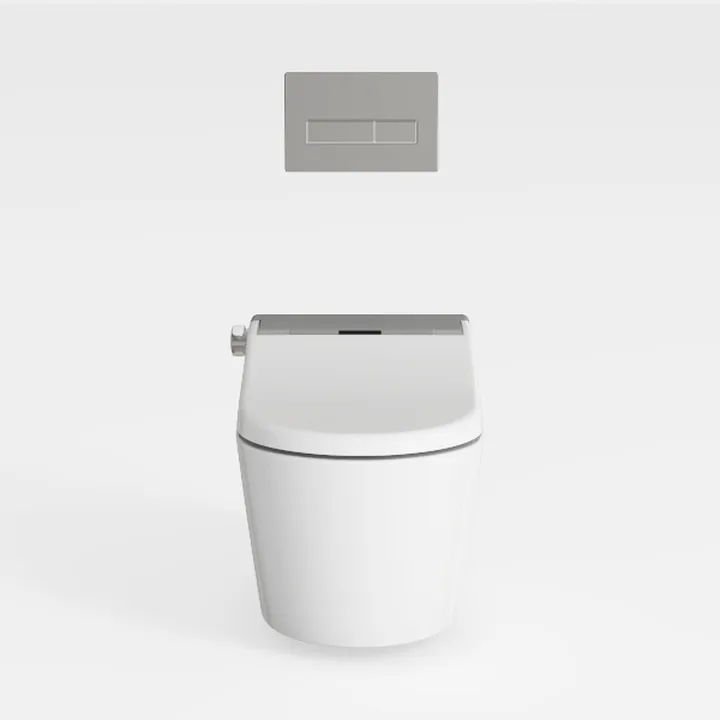 Smart Toilet with Built-in Tank & Bidet Auto Open