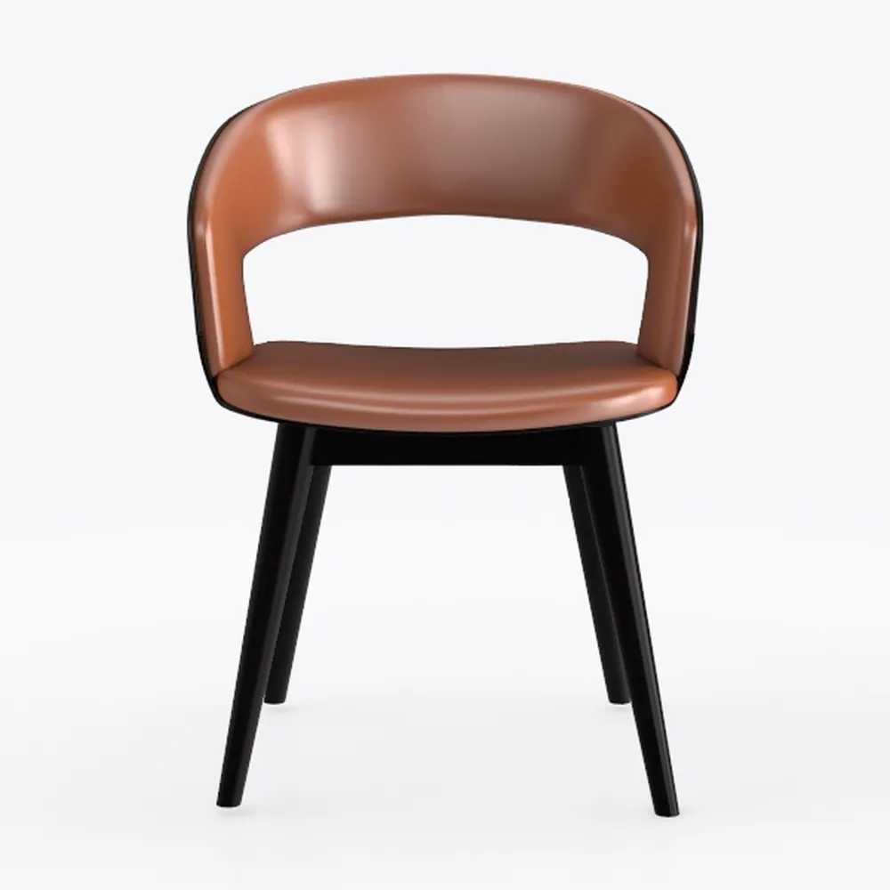 Dining Chairs Set of 2 Mid Century Modern