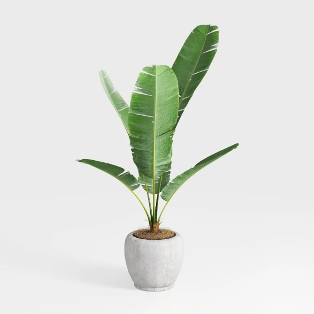 Bird of Paradise Artificial Plant 5FT - Faux