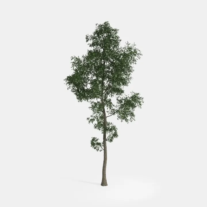 Faux Olive Tree 7ft, Tall Fake Olive Tree with
