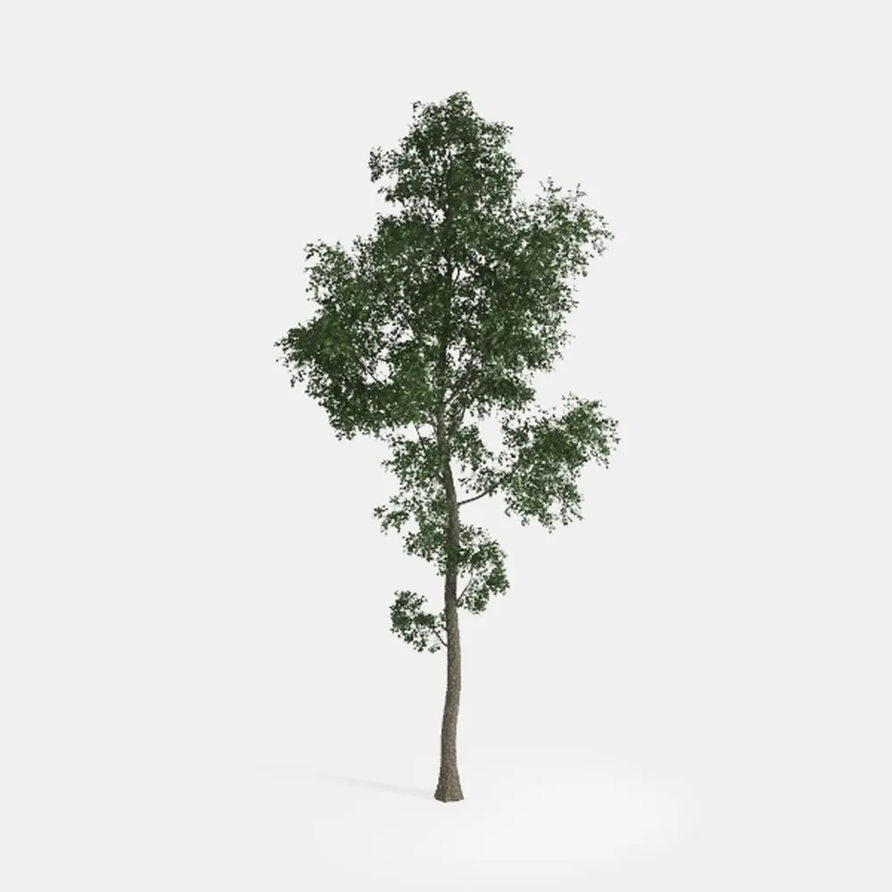 Faux Olive Tree 7ft, Tall Fake Olive Tree with